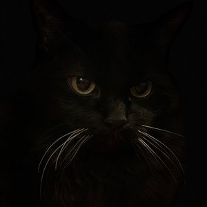 Meet your Posher, Nicolle